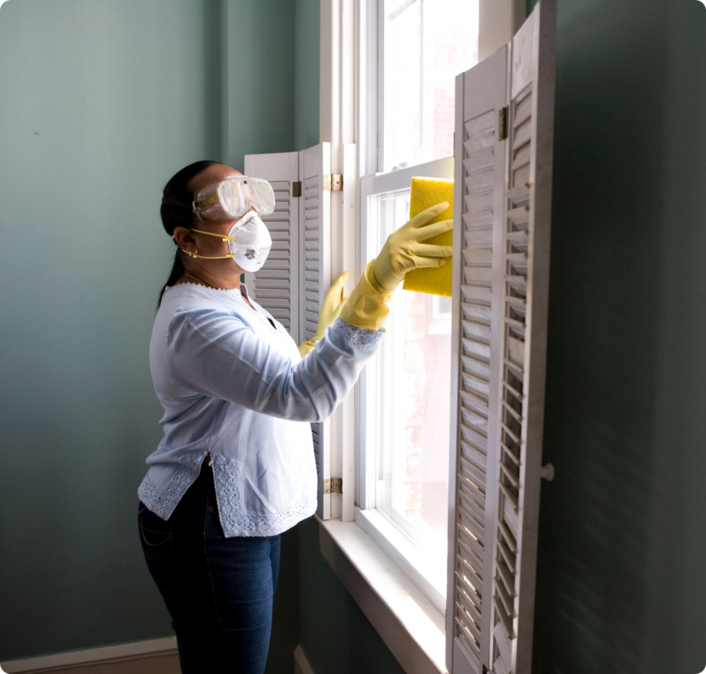 window cleaning